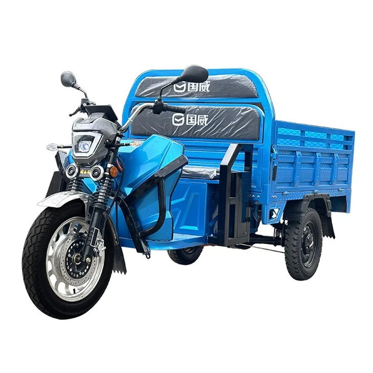 2025 NOVO EGS TRICYCLE ELEKTRIČNO ELEKTRIČNO ELEKTRIČNO TRICISE TRICICE